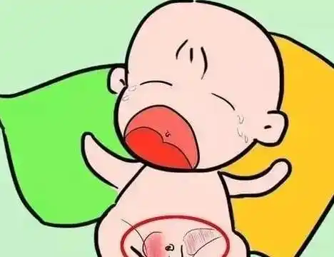 睾丸_积液_交通