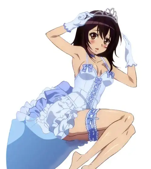 所属动漫噬血狂袭 strike the blood原著:角色:煌坂纱矢华