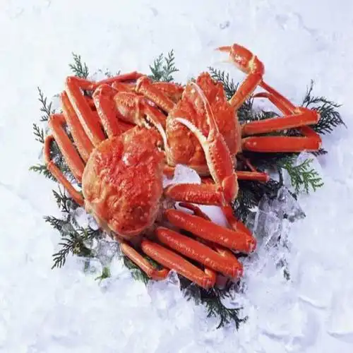 全国供应雪蟹及周边海产品
