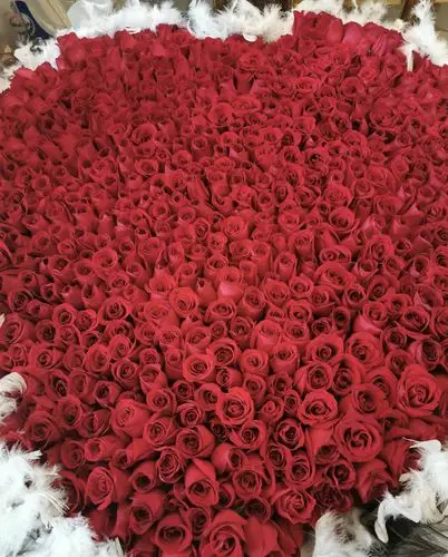 杨钰莹又有新恋情生日收999朵玫瑰太幸福空气刘海真够减龄