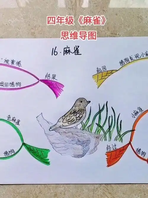四年级语文《麻雀》思维导图
