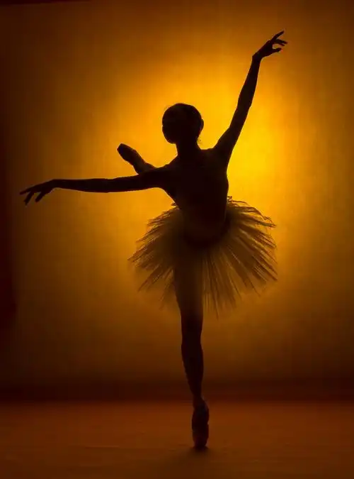芭蕾剪影