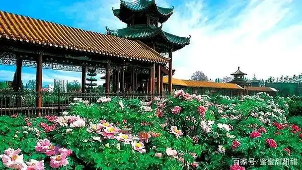 山东省菏泽市十大景区景点