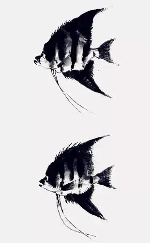 冯增木原创国画鱼类画法系列之《热带鱼画法》