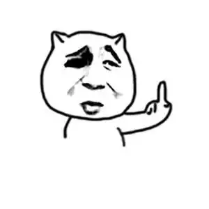 猥琐猫竖中指-发表情