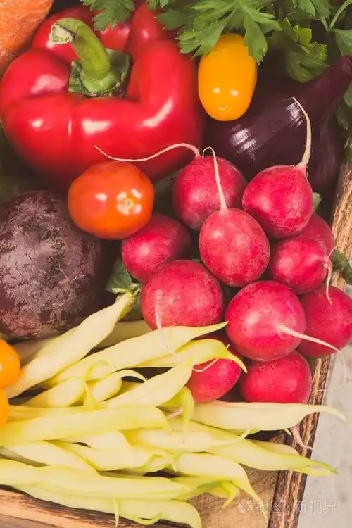 一堆新鲜蔬菜,含有维生素和矿物质,用于烹调菜肴照片-正版商用图片