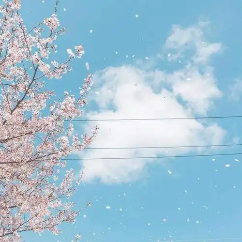 适合发qq空间的说说句句精辟走心