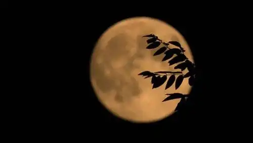 天津市天文学会理事史志成介绍,每逢农历初一,我们看不到月亮,叫"新月