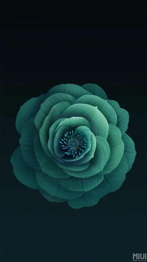 新人分享点壁纸