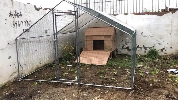 农村个人鸡舍图片大全 农村鸡棚搭建图片50个