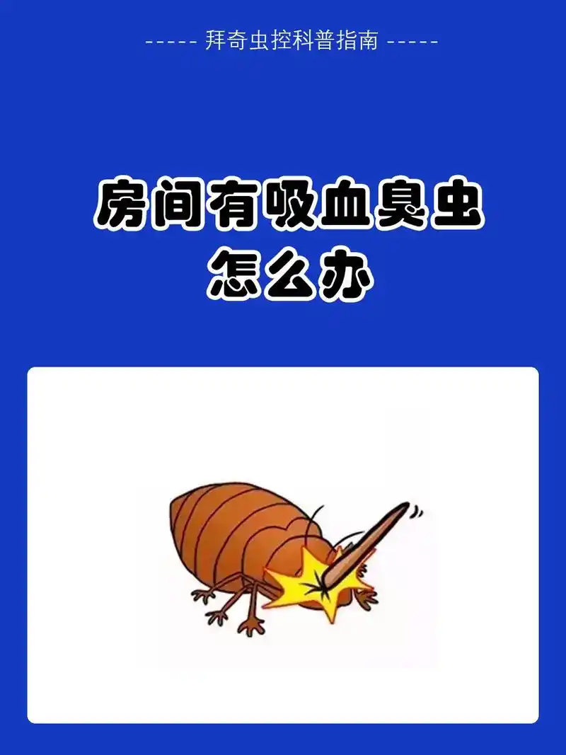 房间有吸血臭虫怎么办.