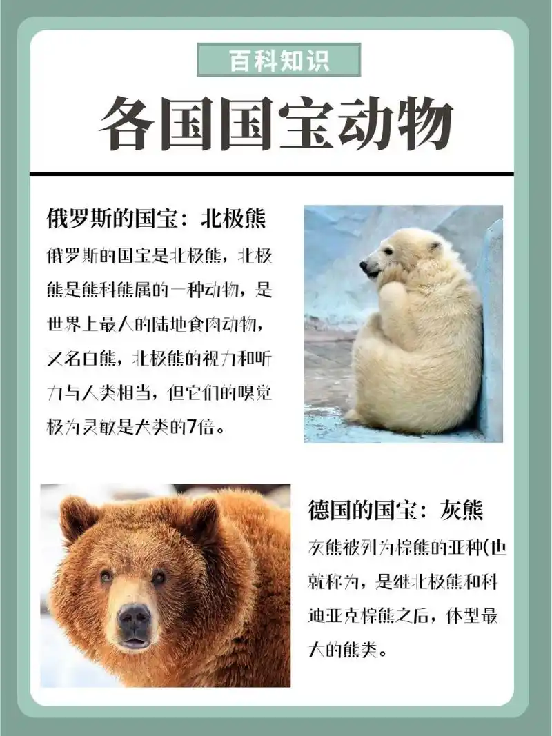 各国国宝集合!最后一个你绝对想不到!