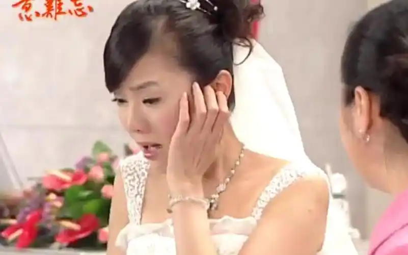 意难忘445,446-二房得知婷婷怀孕