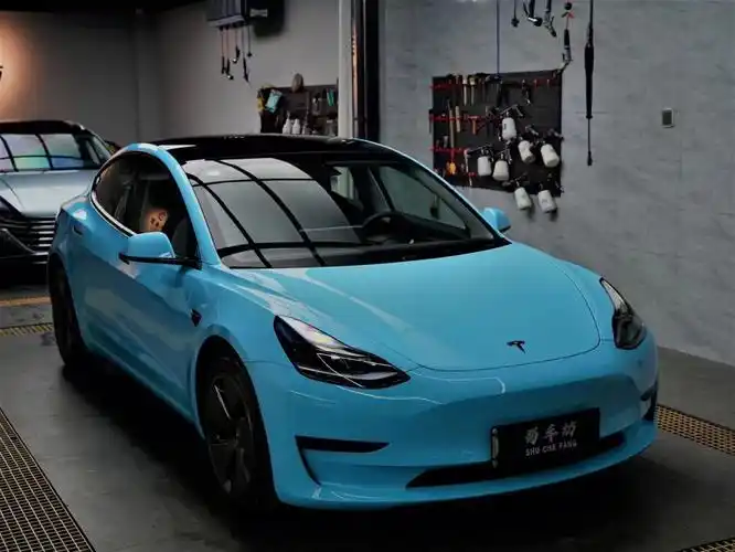 特斯拉毛豆3改色案例73