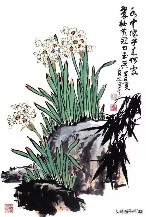 书画联盟丨水仙花的写意画法示范教程