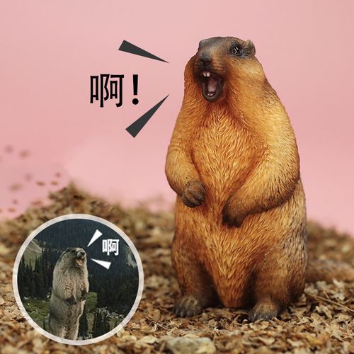 土拨鼠官方旗舰店