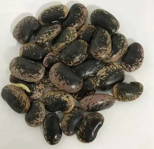 黑花肾豆(5斤装)