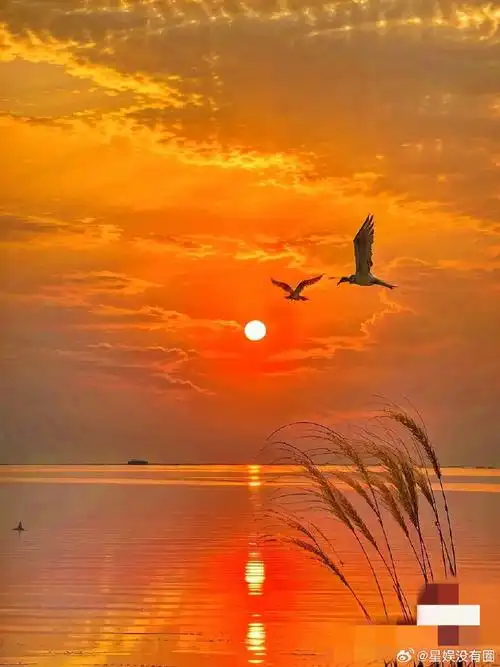 上了一个能看到夕阳的班