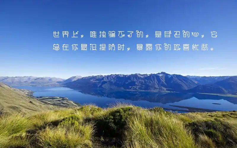 正能量的唯美语录说说图片