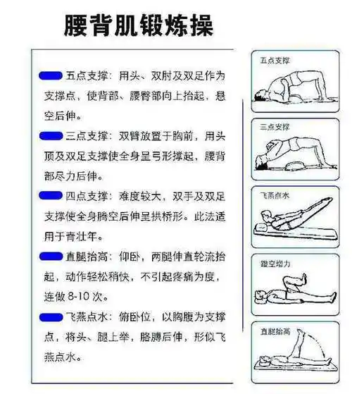 腰椎术后腰背肌肉训练方法及意义_杨立利医生文章_上海长征医院-微医