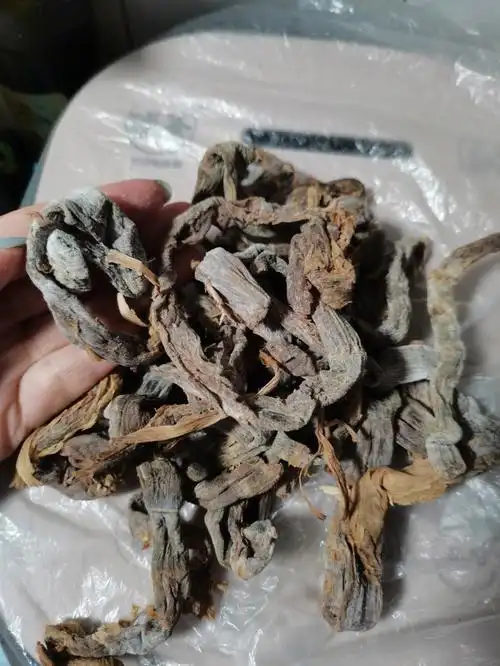 打开包装里面笋干发黑,我爸非说能吃,我感觉像是发霉了#笋干  #笋干的