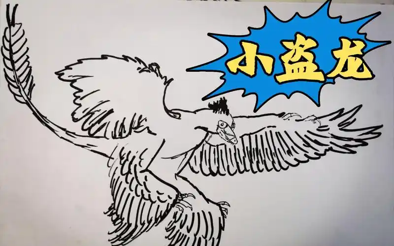 恐龙简笔画之小盗龙