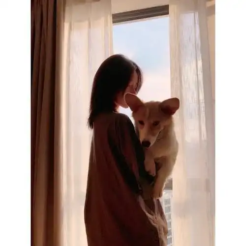 洝大人72 女头白边自制头像 猫奴 组图 阳光