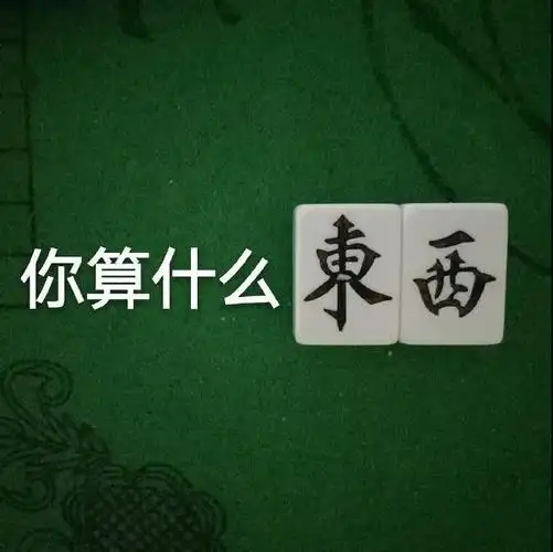 文字 麻将 你算什么东西 嫌弃 搞怪 逗