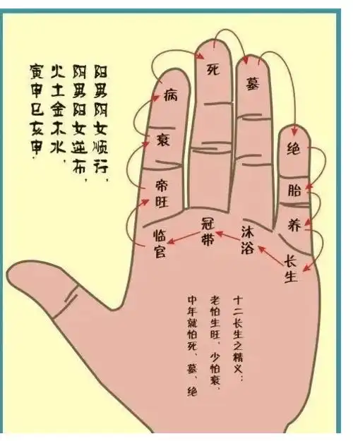 纳于掌上的十天干生旺死绝表速推方法