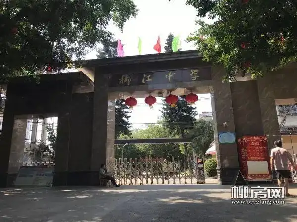 实地探访柳江网红大盘——兴佳城_柳州