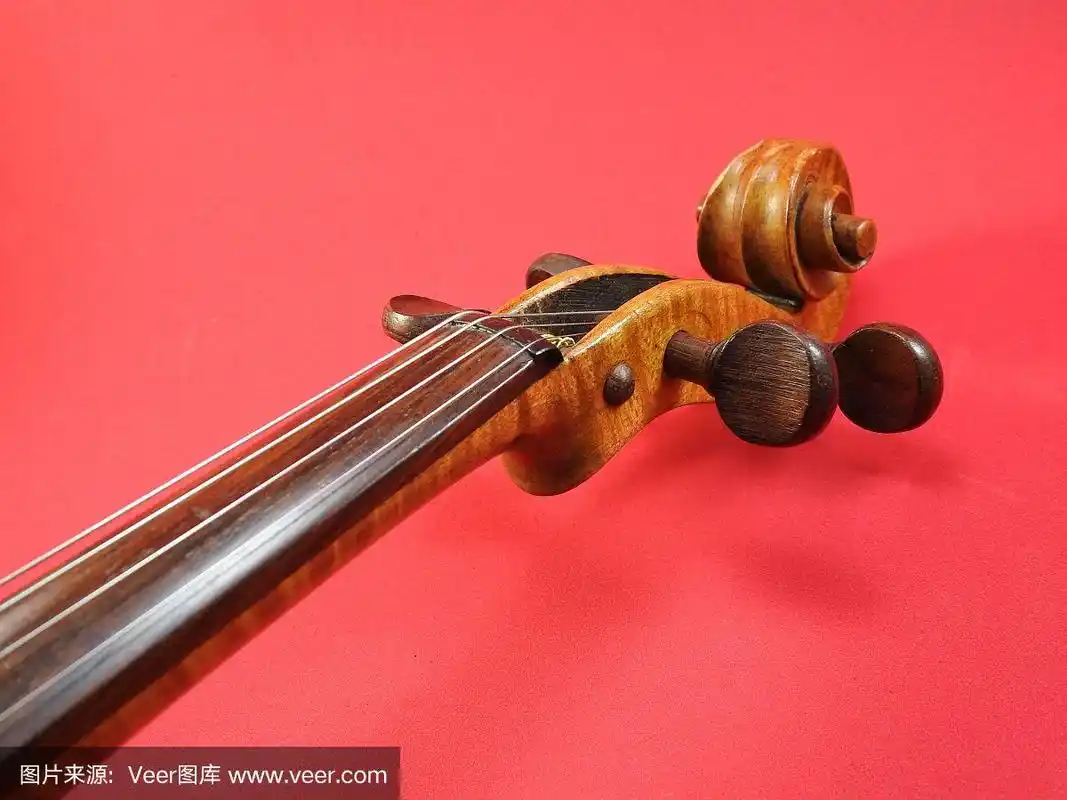 卷,调音弦轴,特写,小提琴,音乐