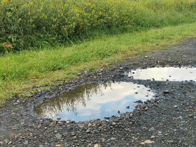 小水坑里的倒影世界