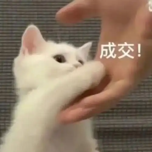 网易首页>网易号>正文申请入驻>最新猫咪表情包,每天12点更新~关注 星