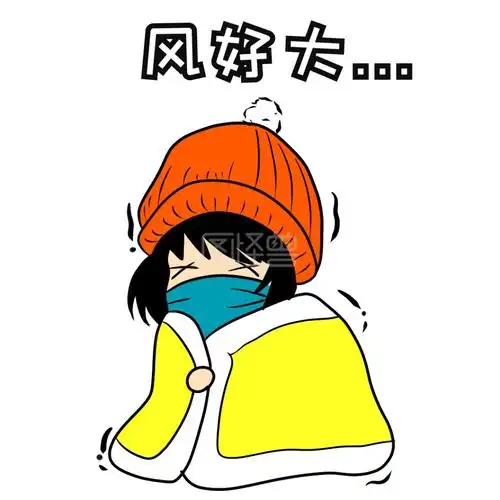 风好大表情包卡通
