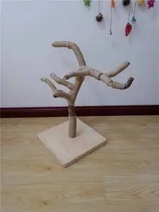 咖啡树鹦鹉站架