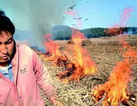 柴草垛火烧连营危及村庄 10勇士奋战一夜灭大火(图)