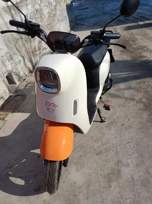 小龟王电动车新国标电动自行车可上牌女士48v60v锂电池外卖电瓶车