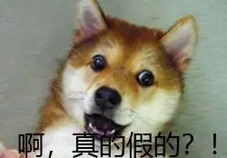 真的假的?(狗子表情包 67)