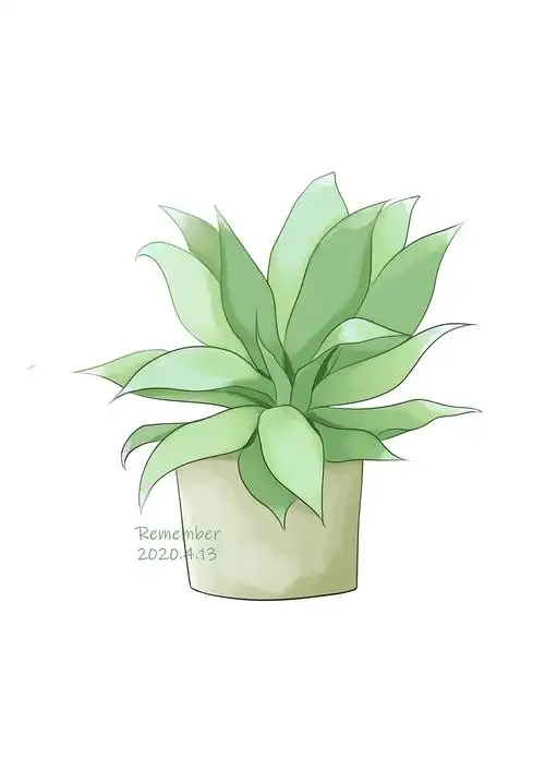 盆栽植物系列|插画|商业插画|remember_rm - 原创作品 - 站酷 (zcool)