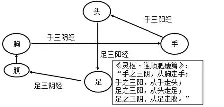 十二经脉的走向和交接