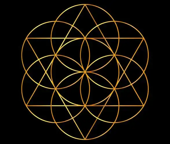 生命之花的秘密:神圣几何
