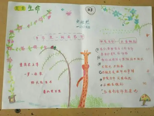一十班《珍爱生命,幸福成长》手抄报展示