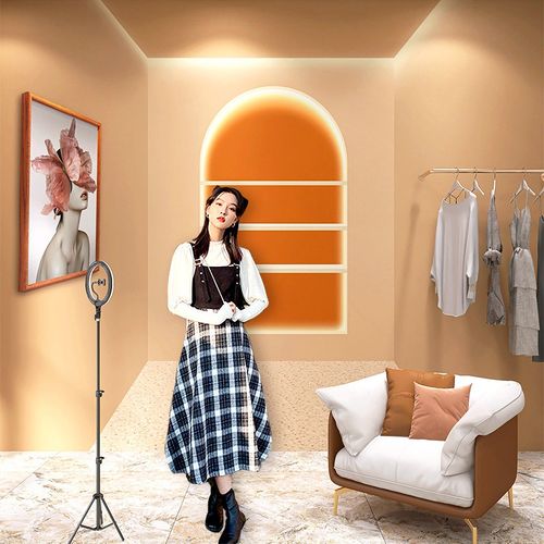 3d直播间装饰背景墙布网红主播女装鞋包定制墙纸淘宝抖音带货壁纸