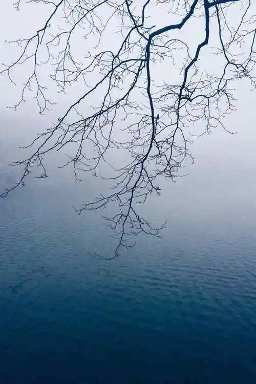 庐山雾色朦胧的山间景色手机壁纸5张