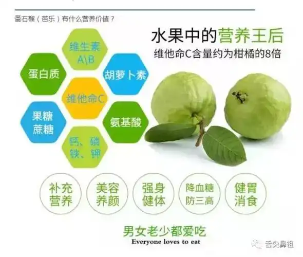 鸡屎果=番石榴?