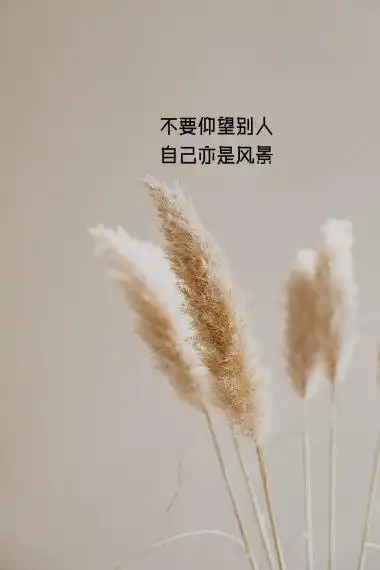 正能量励志带字图片
