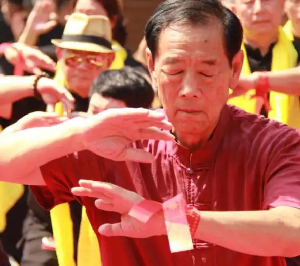 观音拳23式拳谱名称