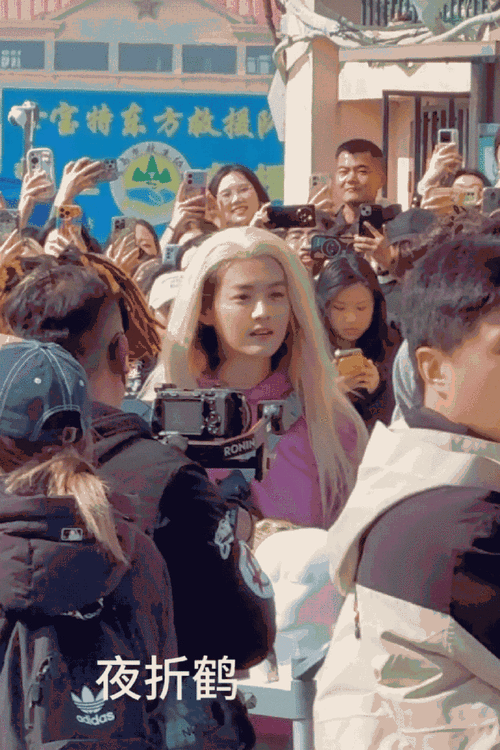 鹿晗金色长假发