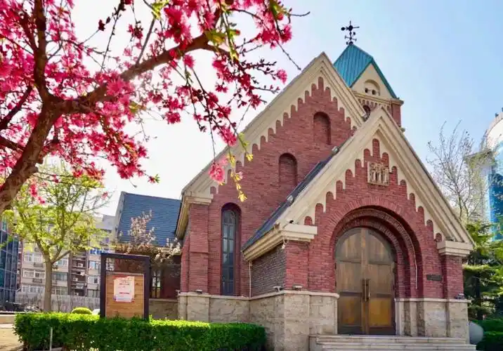 春暖花开五大道小洋楼建筑群赏景赏花攻略手机现场抓拍_街道_大理道