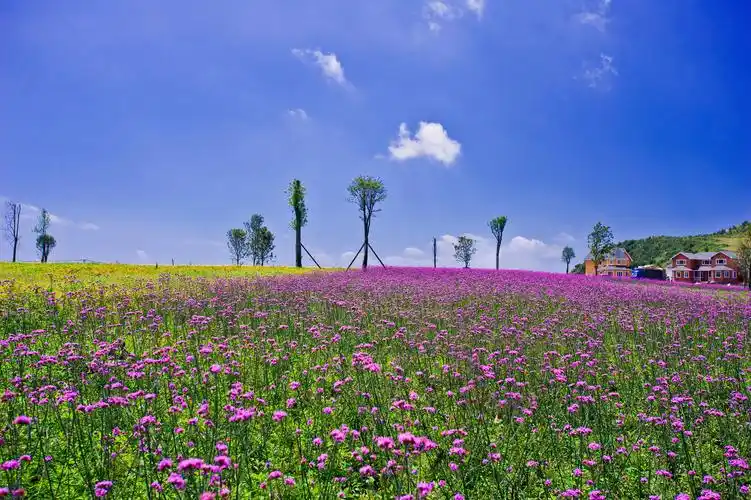 清凉六盘水,火热十一运 | 野玉海:国家山地旅游度假区的「诗和远方」